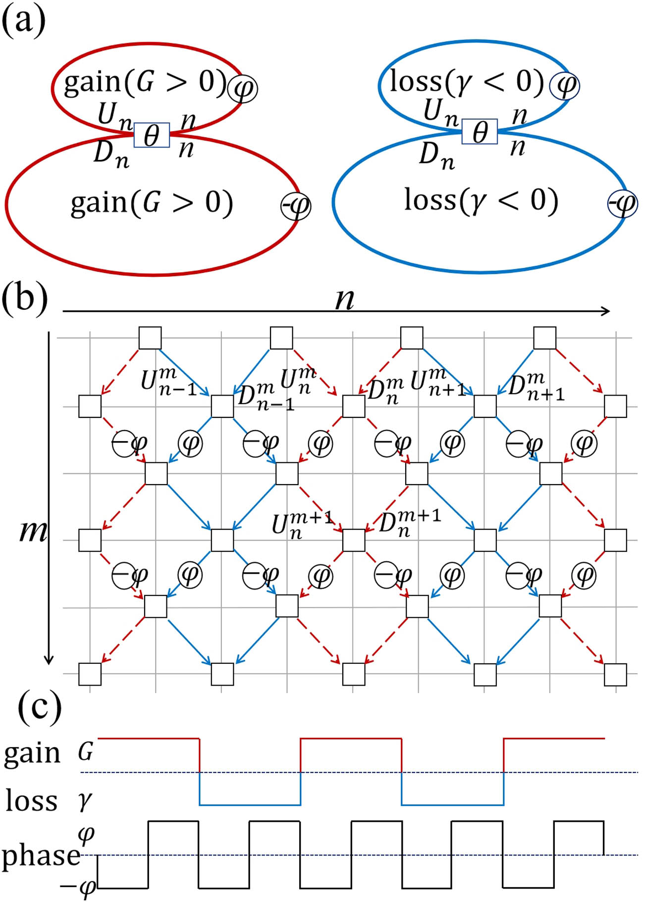 Schematic of anti-PT symmetric synthetic photonic lattice. (a) Two coupling fiber loops with a length difference and (b) corresponding temporal mesh lattice with anti-PT symmetry. (c) Distribution of the phase, gain, and loss.