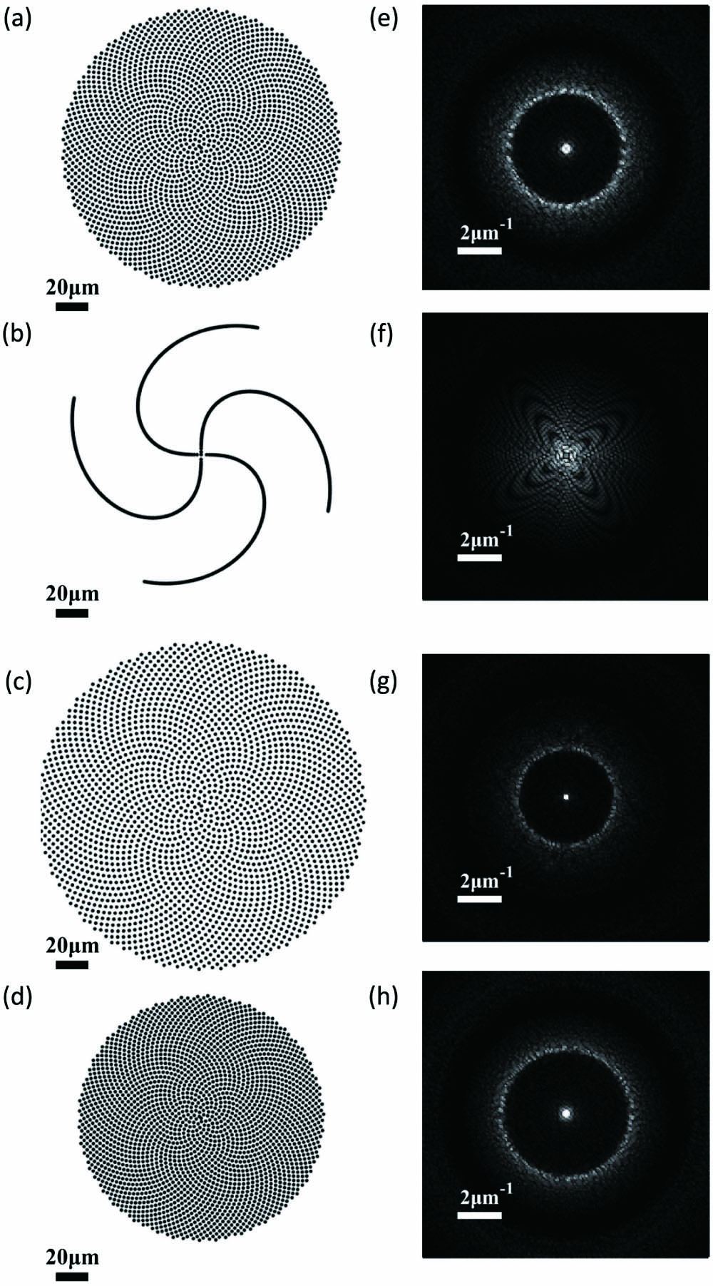 (a) Golden-angle spiral with b = 1.70 µm [an element of quasi-periodic spiral shown in Fig. 1(b)]; (b) Vogel’s spiral with α = 1.57 and b = 1.70 µm [the other element of quasi-periodic spiral shown in Fig. 1(b)]; (c) golden-angle spiral with b = 1.50 µm [an element of quasi-periodic spiral shown in Fig. 1(c)]; (d) golden-angle spiral with b = 2.00 µm [the other element of quasi-periodic spiral shown in Fig. 1(c)]; (e)–(h) Fourier spatial spectra of (a)–(d).