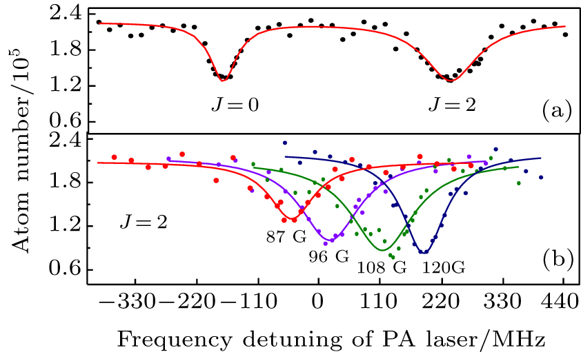 (a) PA spectrum of the v = 10 vibrational level of Cs2 long-range 0g− state without the magnetic field. (b) The number of atoms as a function of the frequency detuning of the PA laser with the magnetic fields of 87 G (red dots), 96 G (violet dots), 108 G (green dots), and 120 G (navy dots) for J = 2. The solid curves are the fittings using a Lorentzian function.