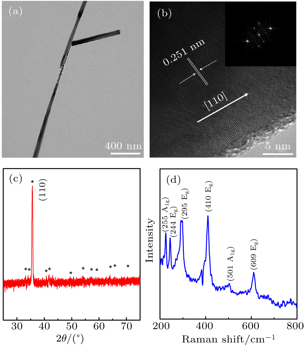 Sample characterization. (a) TEM image of the single α-Fe2O3 nanowire. (b) HRTEM image and FFT ED pattern revealing single crystal structure of the nanowire. (c) XRD patterns and (d) Raman spectrum of the α-Fe2O3 nanowires.