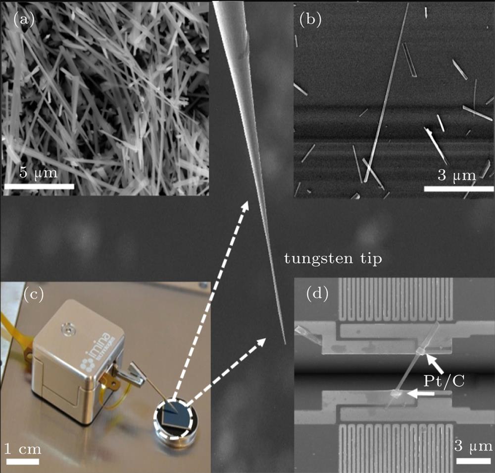 Suspended sample preparation. (a) SEM image of the grass-like grown α-Fe2O3 nanowire arrays on the Fe foil. (b) SEM image of some free lying individual α-Fe2O3 nanowires on the SiO2/Si substrate. (c) Image of the micromanipulator miBotTM armed with a sharp tungsten tip. (d) SEM image of the as-prepared suspended α-Fe2O3 nanowire whose two ends are fastened to the electrodes of the microdevice by EBID.