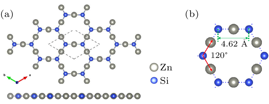 (a) Optimized geometry of Zn3Si2 monolayer, with a unit cell labeled by the black dotted line. (b) A zoom-in figure of (a).
