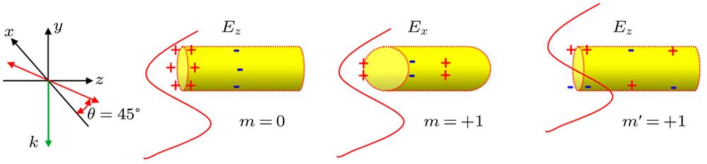 Schematic illustration of the plasmonic cylindrical wire excited by light at one terminal for lower order modes. The light goes along y direction and the polarization is at 45° with the z axis which can be decomposed into x and z components.