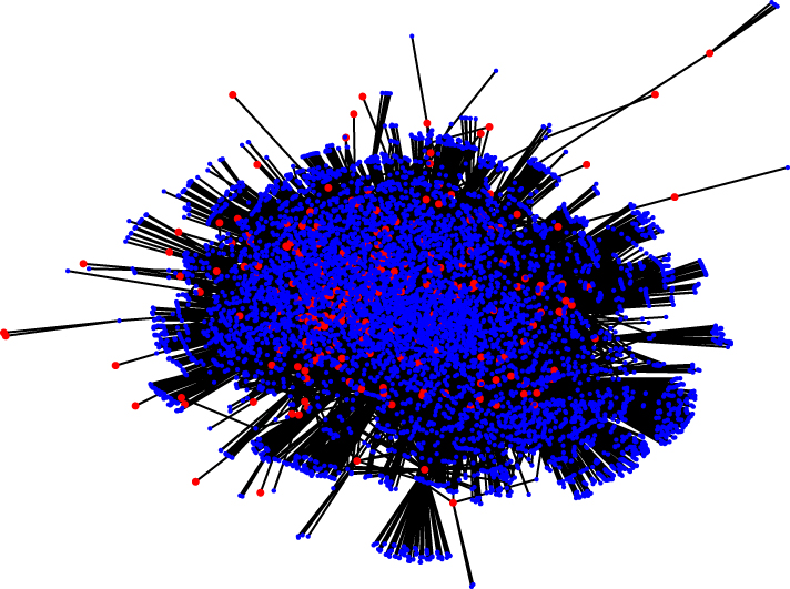 MECN visualization. Red nodes are OEMs and blue nodes are part suppliers.