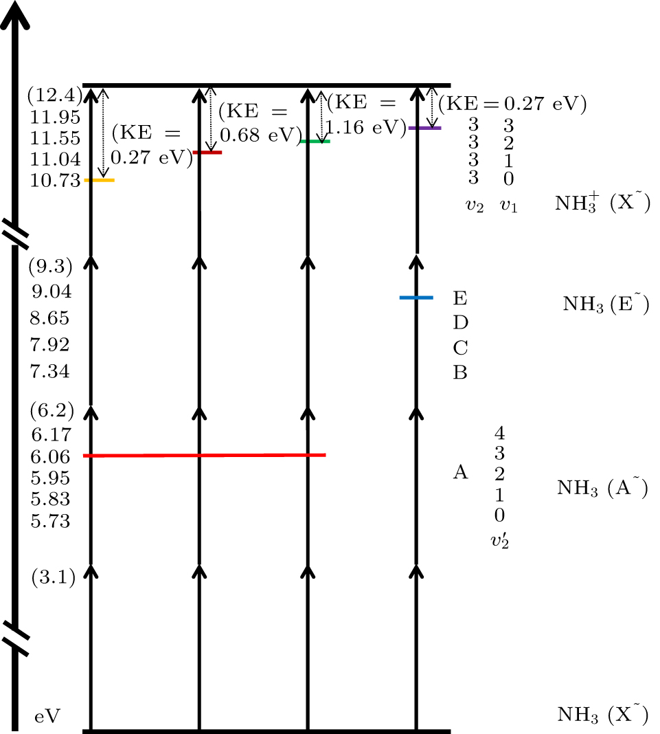 Vibrational levels in different excited states of NH3 and NH3+ without the existence of ponderomotive force potential. Single arrow represents the energy of a photon, and double arrow refers to the detected kinetic energy (KE) of electrons.