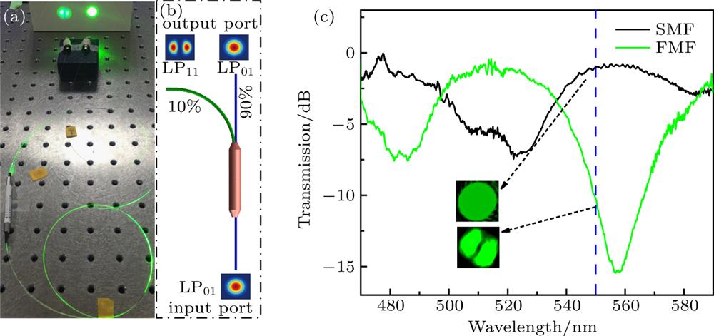 (a) Photograph and (b) schematic diagram of the green-light MSC. (c) Transmission spectra of the green-light MSC, the inset shows the mode patterns of the LP01 and LP11 modes.