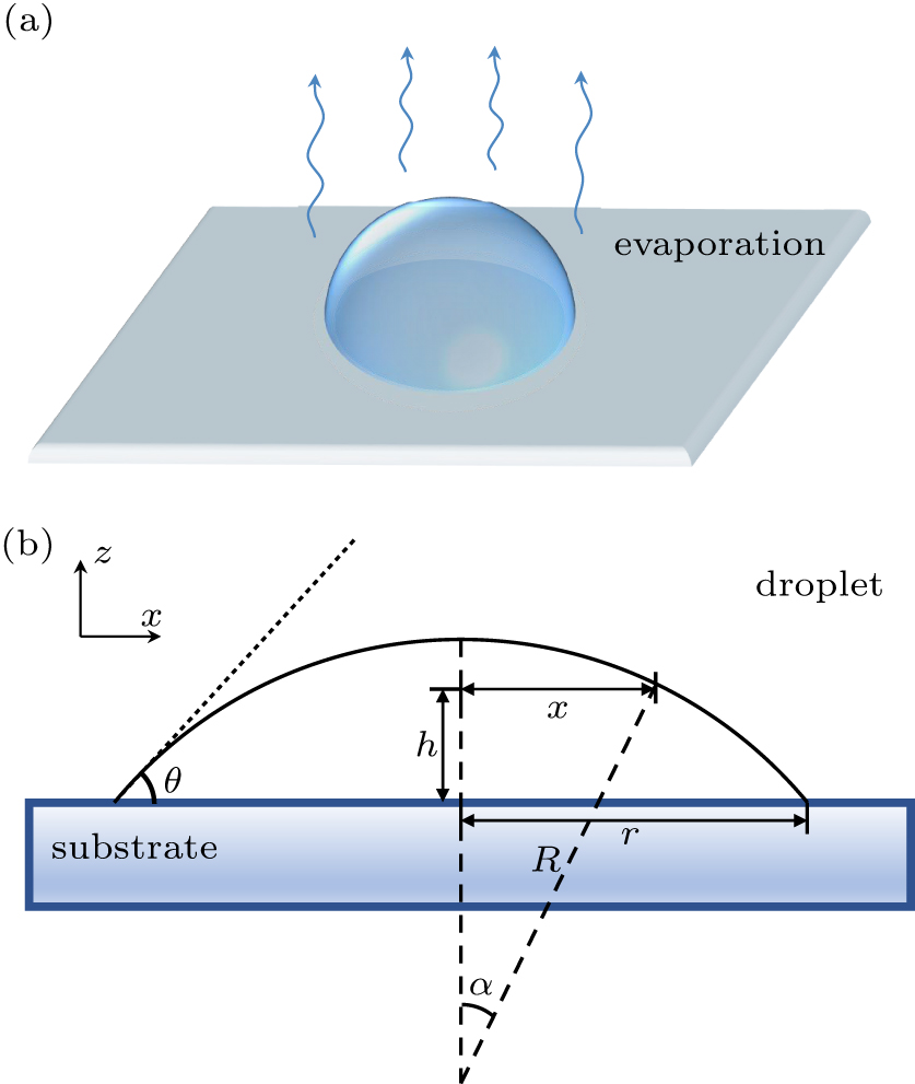 Schematic of a sessile droplet drying on a substrate. Panels (a) and (b) are the top and the side views of the droplet, respectively. Relevant parameters are the radius of the contact line r, the radius of the spherical crown R, the contact angle θ, the height of the droplet h at position x.