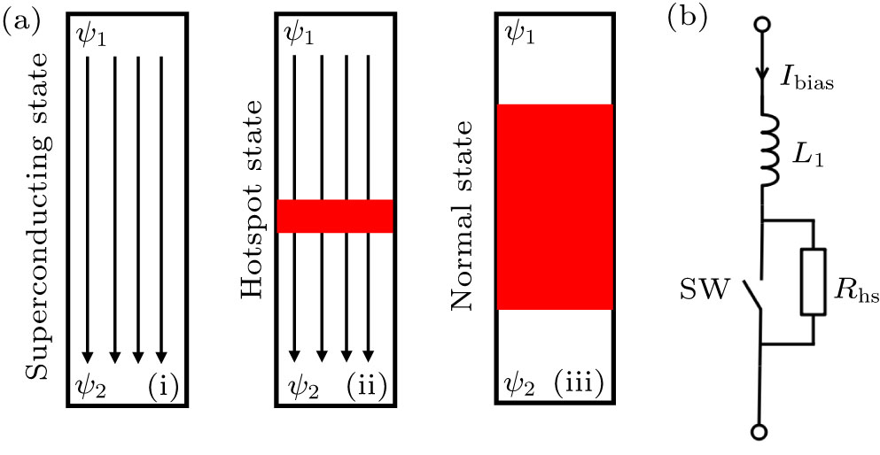(a) Three states of nanowire: (i) superconducting state, (ii) hotspot state, (iii) normal state (“latched” state). ψ1,2 denotes the wave function at both ends of the nanowire. (b) Schematic diagram of simplified nanowire model. L1 denotes the inductance of nanowire. Rhs represents the resistance of hotspot region in hotspot state. SW refers to the switching effect of nanowires. SW is open for hotspot state, while closed for superconducting state.