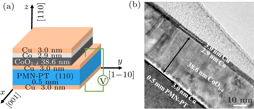(a) Schematic of Cu/CoO1–δ/Co/Cu stack grown on PMN-PT(110) substrate and the configuration used for applying an electric field. (b) Cross-sectional TEM image of the stack.