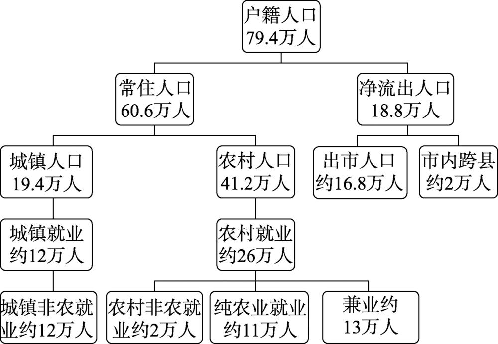 苍溪县人口结构分析示意图Fig.1