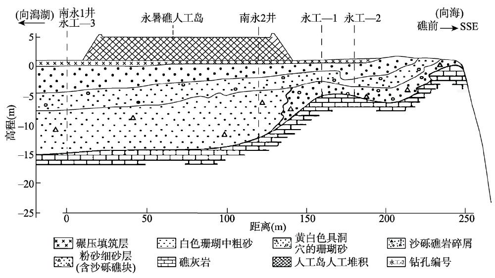 永暑礁西南礁坪浅层结构示意图[1, 36]Fig. 2