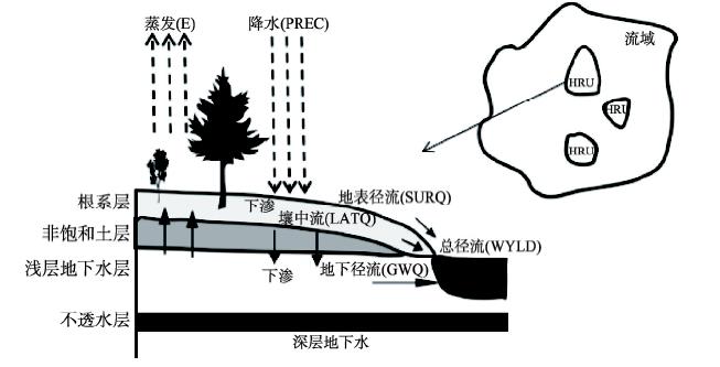 SWAT模型水文响应单元(HRU)水循环过程示意图Fig. 2
