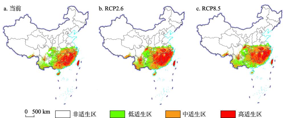 当前和未来气候情景下青冈的适生区分布图注：基于国家测绘地理信息局标准地图服务系统的标准底图（审图号：GS(2019)1697号）制作,底图无修改。Fig. 2