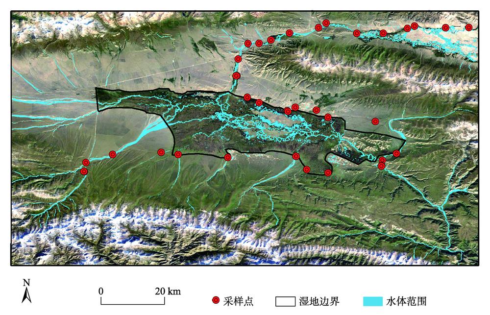 Sampling point location in the Bayanbulak wetland grassland in Xinjiang