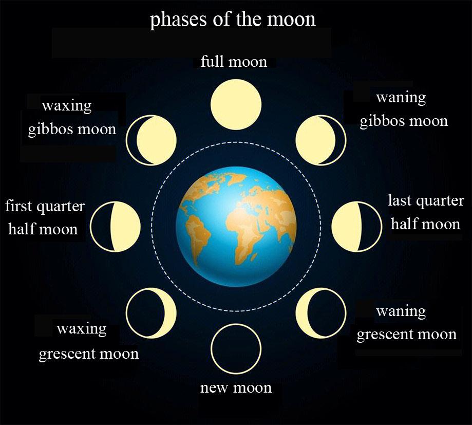 Diagram of lunar phase