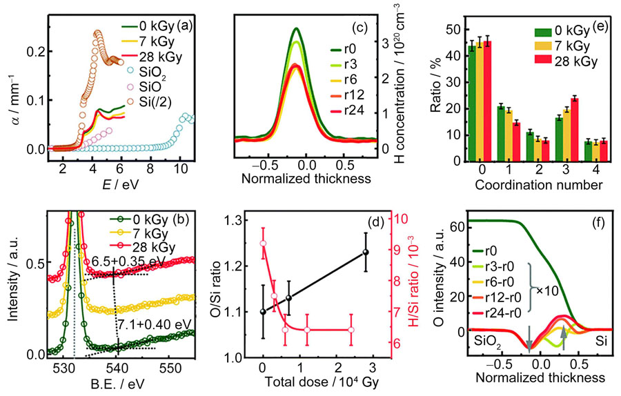 TID-induced changes at the interface layer: (a) optical absorption spectra of the pristine and irradiated a-SiO2/Si interface, together with those of bulk SiO, Si and SiO2 for comparison; (b) the changes of band gaps of the ultra-thin films at different doses; (c) H distributions of samples irradiated at different doses obtained from sims (the r0, r3, r6, r12 and r24 labels mean that the films were irradiated to 0, 3, 6, 12 and 24 kGy; the original text using r0, r0.3, r0.6, r1.2, and r2.4 labels mean the films were irradiated to 0, 0.3, 0.6, 1.2 and 2.4 Mrad before sims measurements); (d) the O/Si ratios increase and H/Si ratios decrease with the increasing doses; (e) changes in the percentages of different chemical states of Si at different doses; (f) the distribution of O atom across the interface (green line), and gamma-ray irradiation-induced changes[5] (color online)