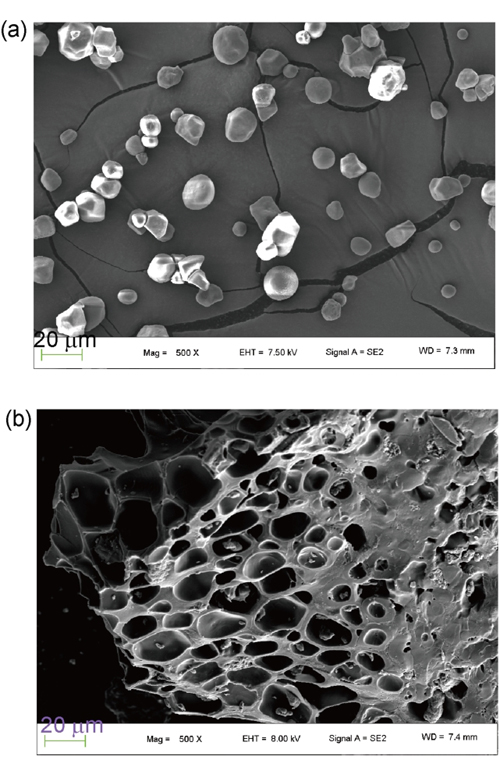 SEM images of Starch (a) and SAP (b)