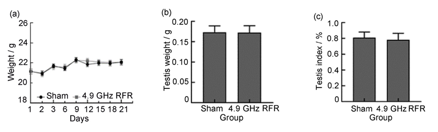 Effects of continuous exposure to 4.9 GHz RFR for 21 days on the general health of mice: (a) body weight of mouse; (b) testis weight; (c) testis coefficient; data are expressed as Mean±SD, n=12