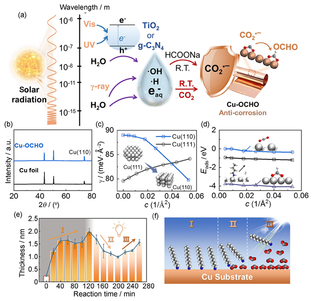 (a) Schematic illustration of photo-induced generation of CO2•- and surface coordination; (b) XRD patterns of bare and treated Cu foils; (c) calculated surface energies γ of DA-terminated Cu(111) and Cu(110) as a function of the DA concentration; (d) adsorption energies Eads of CO2, DA, and OCHO groups as a function of their concentrations on Cu(110). Time-resolved AFM height curve (e), and schematic illustration (f) of Cu surfaces during no-light and visible light irradiation experiments