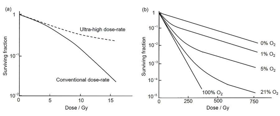 (a) Cell survival curves after irradiation at different dose rates; (b) cell survival curves after irradiation at ultra-high dose rates with different oxygen concentrations［9-10］