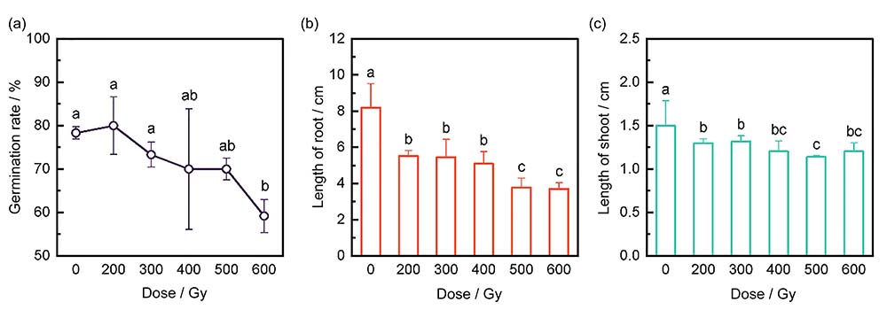 Germination rate (a), length of shoot (b), length of root (c) of Brassica oleracea after carbon ion beam irradiation(different lowercase letters indicate statistically significant differences between groups (p&lt;0.05))