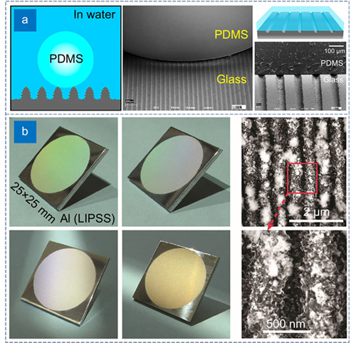 The micro-nano manufacturing of femtosecond laser on all kinds of materials. (a) The micro-nano rough structure on glass fabricated by femtosecond laser to realize underwater superpolymphobicity [36]; (b) The color aluminum due to femtosecond laser-induced nano-periodic structure [37]