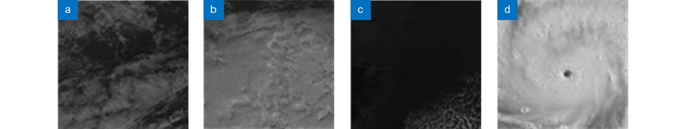 Visible band 1 cloud images of different weather (a) Cloudy; (b) Rainy; (c) Fair; (d) Typhoon
