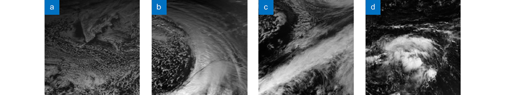 Visible band 1 cloud images of different weather systems. (a) Snow; (b) Frontal surface; (c) Westerly jet; (d) Tropical cyclone