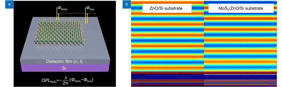 Schematical shown of the loss-assisted phase shift mechanism. (a) The structure configuration used in our work; (b) FDTD simulation result of the π phase shift come from the monolayer MoS2 sheet