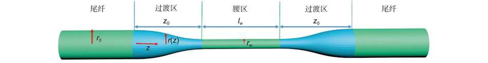Schematic diagram of a microfiber