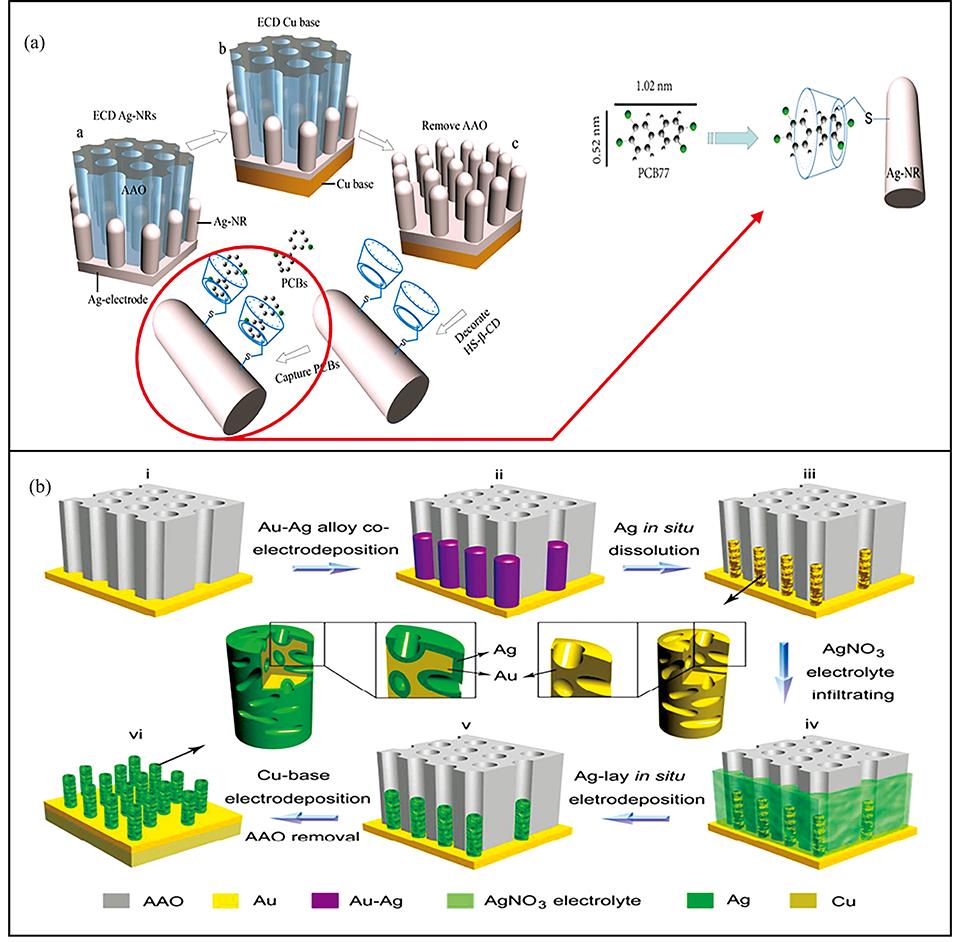 AAO template method for fabrication of SERS substrates(a): Cu-base-supported arrays of HS-β-CD decorated Ag-NRs [51];(b): Core@Shell nanoporous Au@Ag nanorod arrays[52]