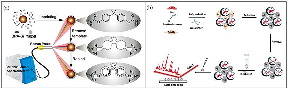 Molecular imprinting technology was applied to SERS detection(a): AuNPs substrate covered by imprint-removed MIP layer[58];(b): In situ reduced AgNPs embedded molecularly imprinted for BPA detection [59]