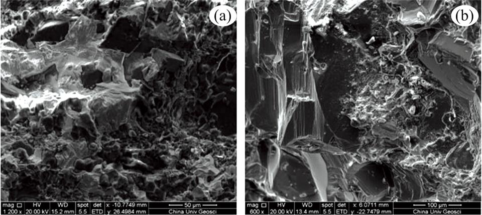 SEM images of samples(a): Sample from Xi’an; (b): sample from Yunnan