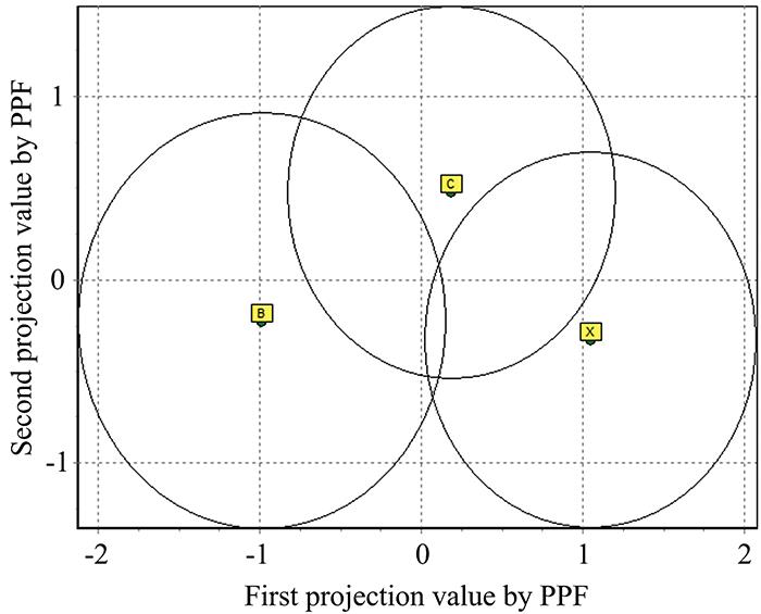 PPF projection with 8 principal components
