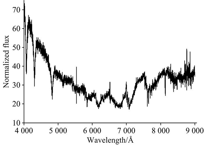 WDMS spectra before processing