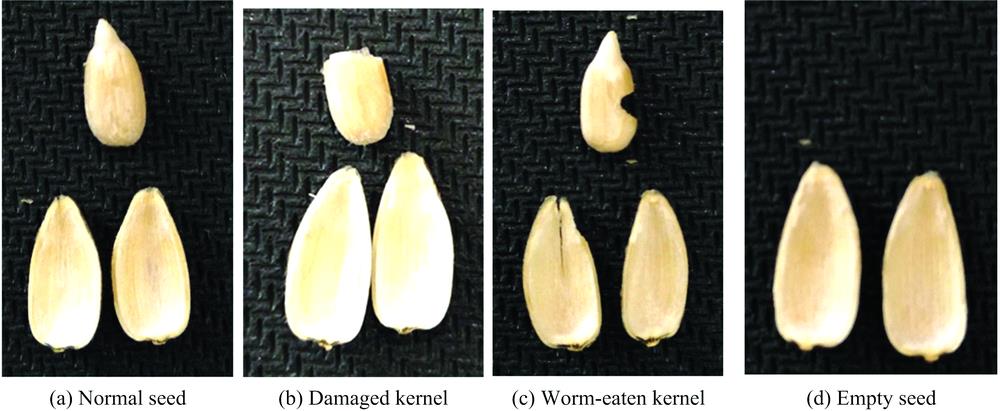 Sample of sunflower seeds(a): Normal seed; (b): Damaged kernel; (c): Worm-eaten kernel; (d): Empty seed