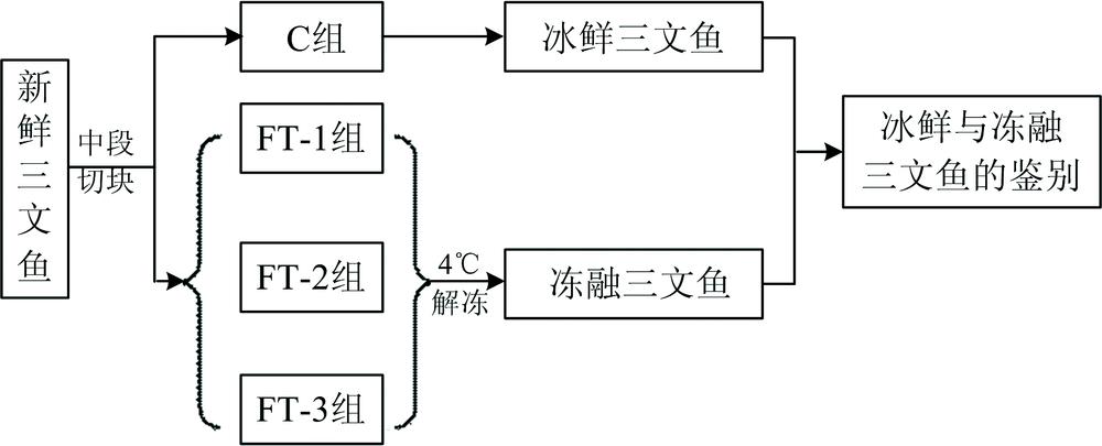 The flow chart of sample preparation