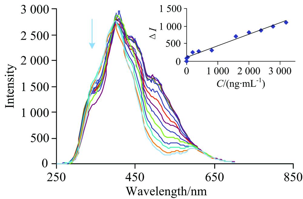 RRS spectra of UR-DMG-PS system(0, 2, 20, 100, 200, 400, 800, 1 200, 1 600, 2 000, 2 400, 2 800, 3 200 ng·mL-1) UR+0.75 mol·L-1 HCl+0.22 mmol·L-1 TSC+19.35 mmol·L-1 DMG +17.5 μg·mL-1 PS