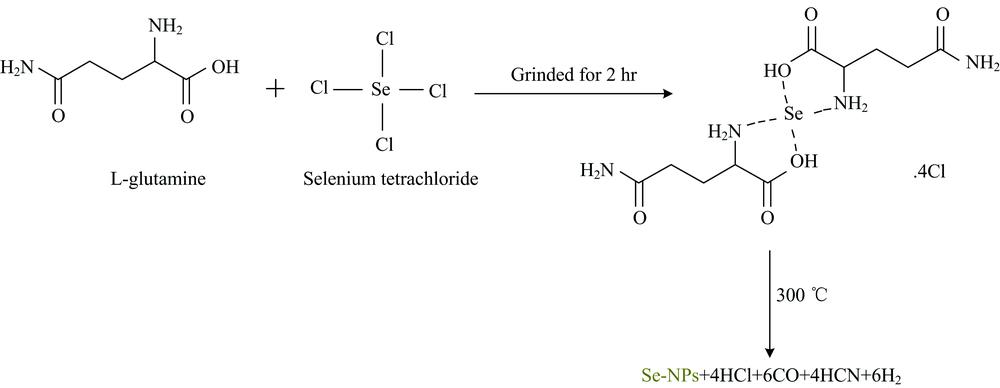 Chemical synthesized of Se-NPs by thermal decomposition of Se(Ⅳ) L-glutamine precursor