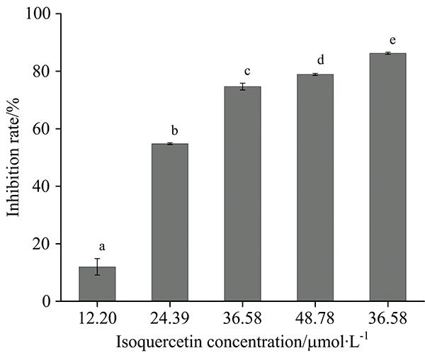 Inhibitory activity of isoquercetin on the formation of AGEs on α-La-fructose system