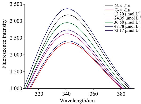 Influence of isoquercetin on the intrinsic fluorescence spectra of glycated α-La
