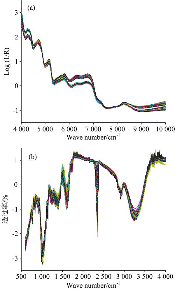 SNV spectra of Lycium Ruthenicum Murr. gathered by NIR (a) IR (b)