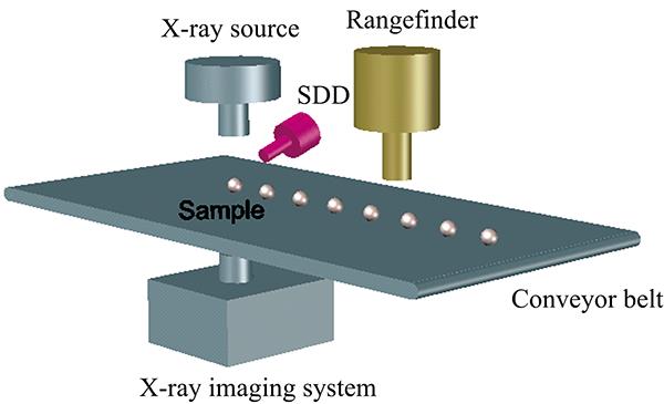 Composition of dual-mode system of XRF and transmission X-ray imaging