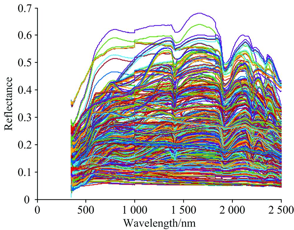 Reflectance spectra of the whole samples