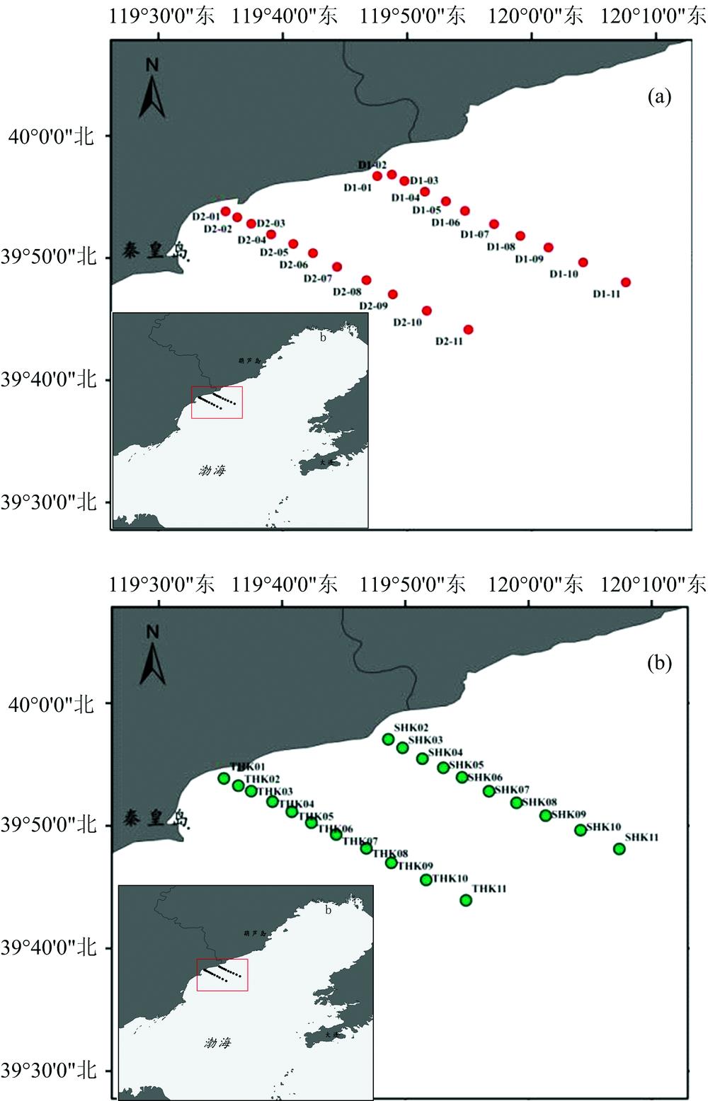 Locations of the sampling station(a): Summer; (b): Autumn