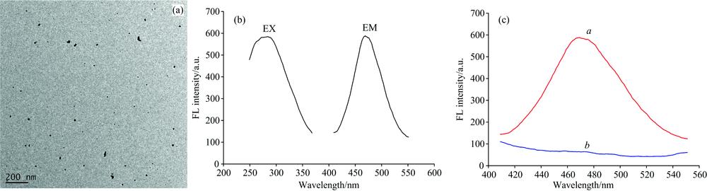 (a) TEM images of DNA-AuNCs; (b) The Fluorescence excitation and emission spectra of AuNCs;(c) Fluorescence emission spectra of AuNCs under different conditionsa: AuNCs; b: AuNCs+Hg2+