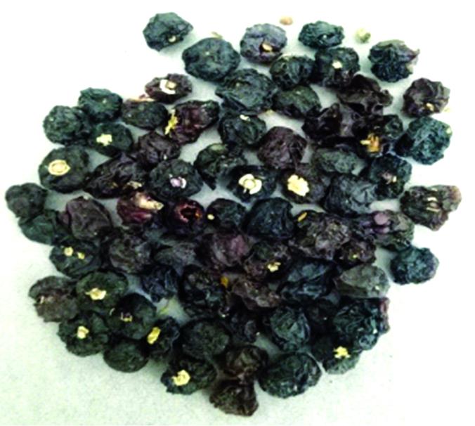 Wild black Goji berries
