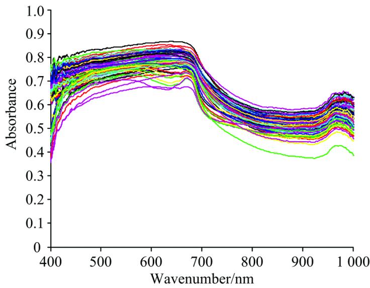 The absorbance spectra of grape berries