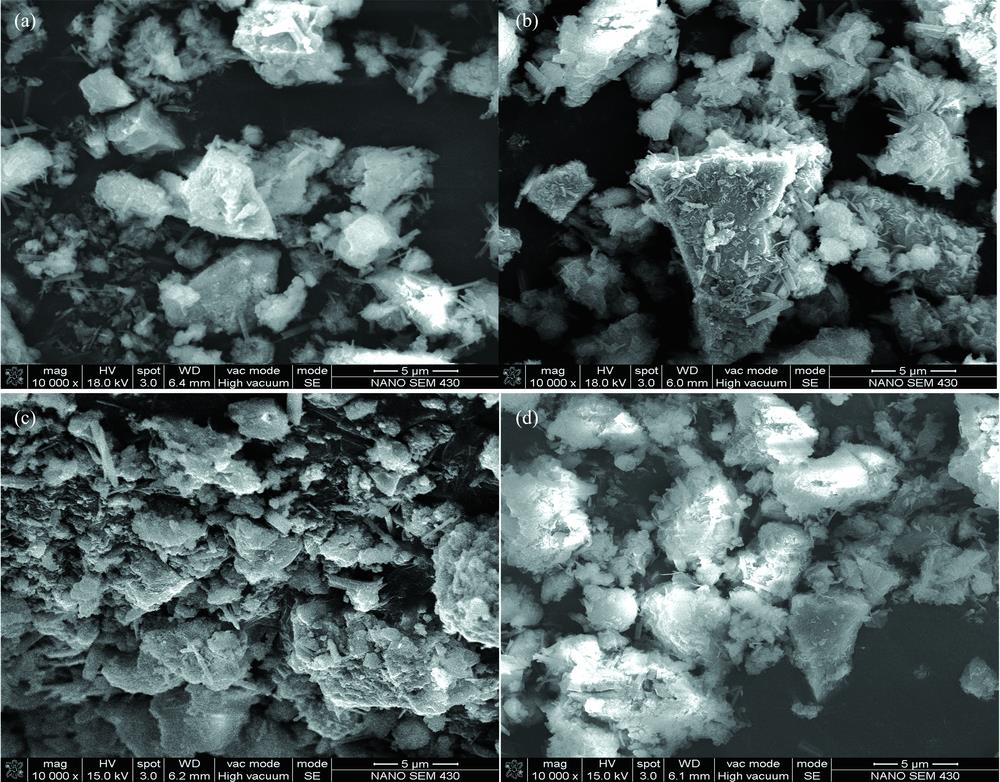 SEM of mixture of wind quenching slag powder-heavy metal contaminated soil(a): 5#; (b): 6#; (c): 3#; (d): 7#