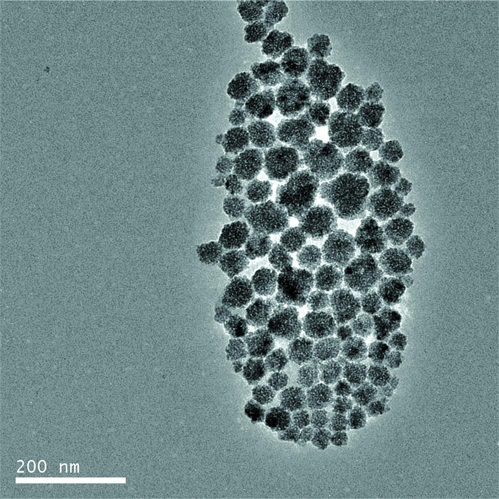 TEM image of YVO4:Eu luminescent nanomaterials